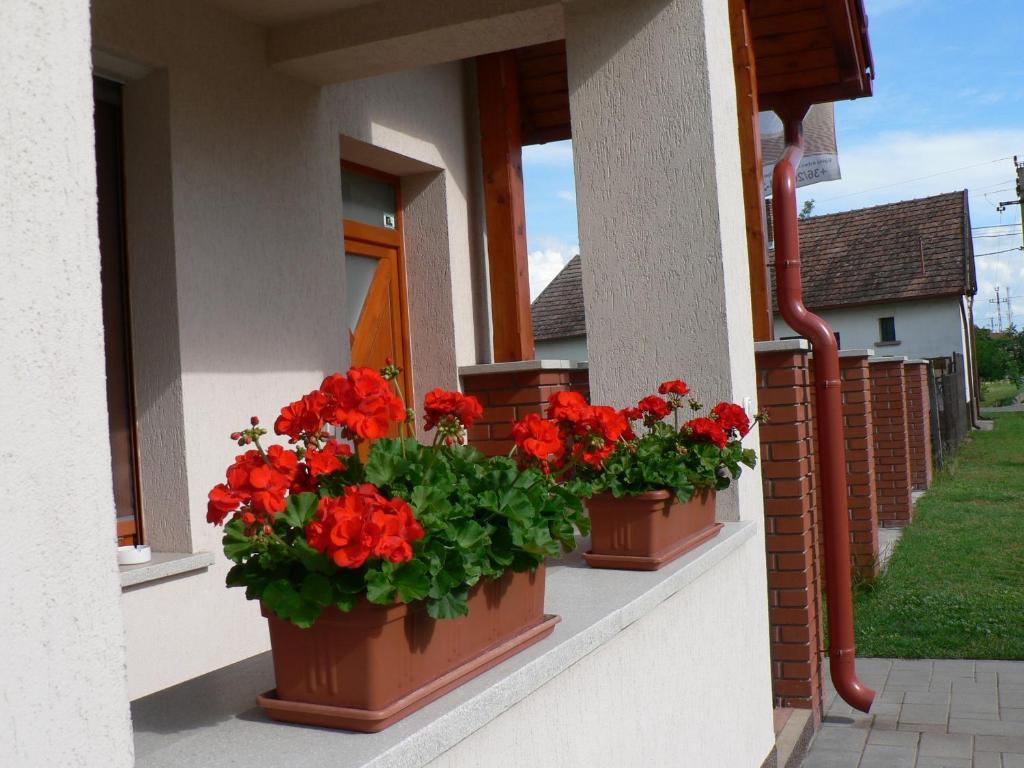 Oazis Apartmanok มูราฮาลอม ภายนอก รูปภาพ